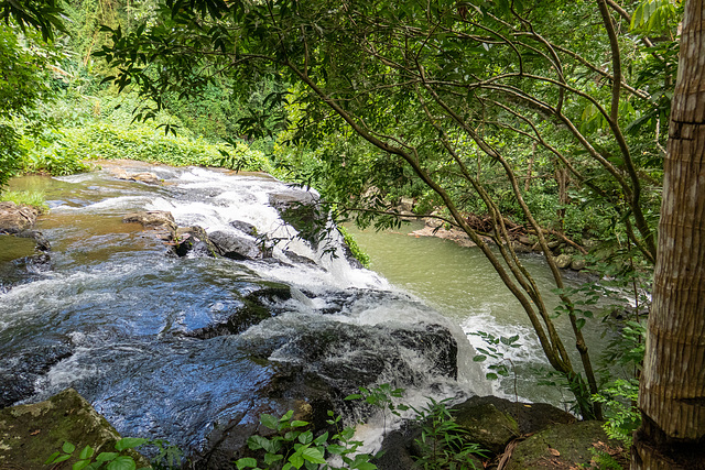 Mauritius-0181