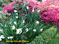 bonnes fêtes de Pâques