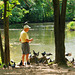 le vieil homme et les pigeons