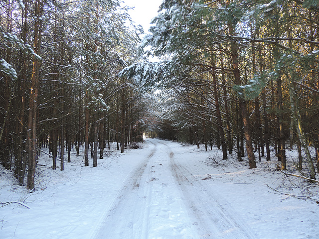 Wanderweg bei Kummersdorf Ort