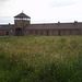Auschwitz II or Auschwitz-Birkenau.