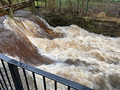 Lower Weir