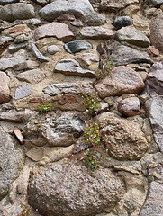 geblümte Stadtmauer geblümte Stadtmauer