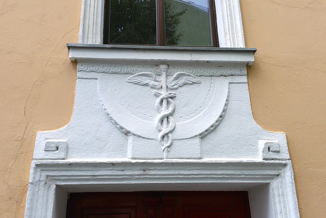 Zwickau 2015 – Rod of Asclepius