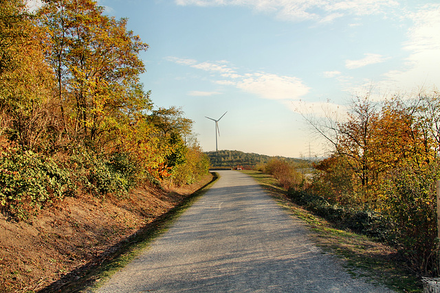 Halde Hoheward, Herten / 15.10.2018