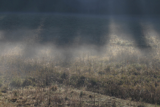 lumière du matin