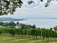 Am Bodensee