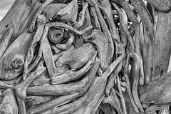Driftwood Details