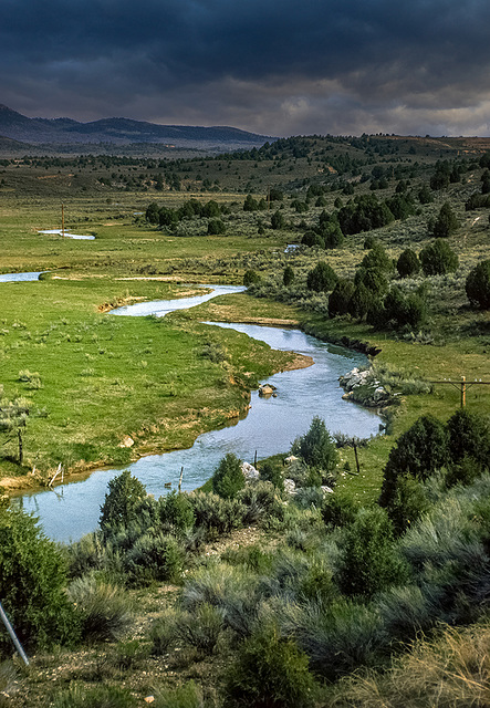 Est Fork Virgin River - 1986