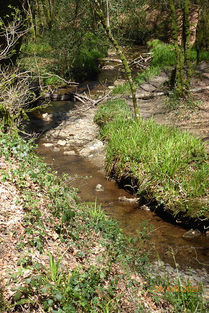 un joli ruisseau