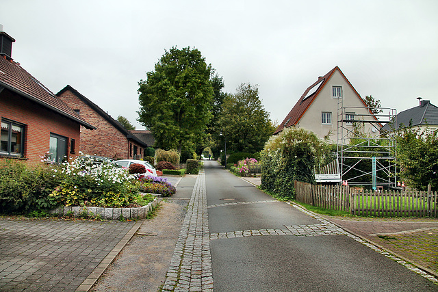 Disselstraße (Bönen-Flierich) / 9.10.2023