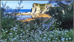 Playa de Atxabiribil