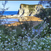 Playa de Atxabiribil