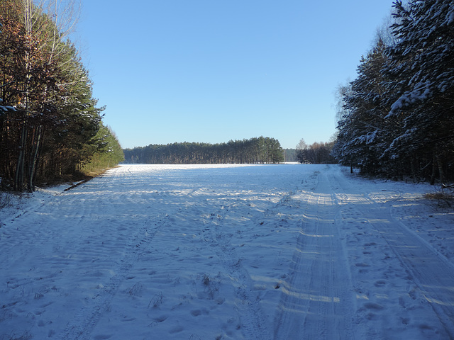 Wanderweg bei Kummersdorf Ort