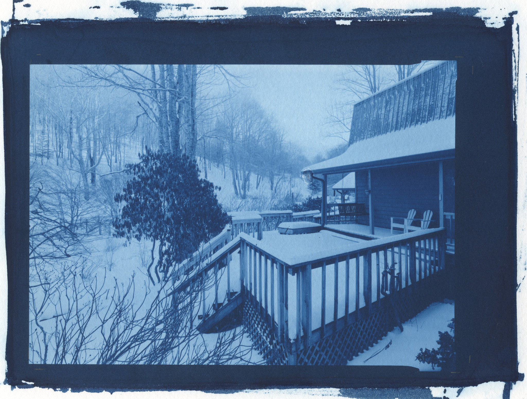 new cyanotype 1-24-16