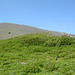 Alaska, Path to the Worthington Glacier through the Green Meadows of the Right-bank Moraine