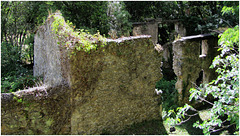 Ruines de l'ancien moulin ...