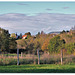 234 Millery église en saisons. ( Automne )
