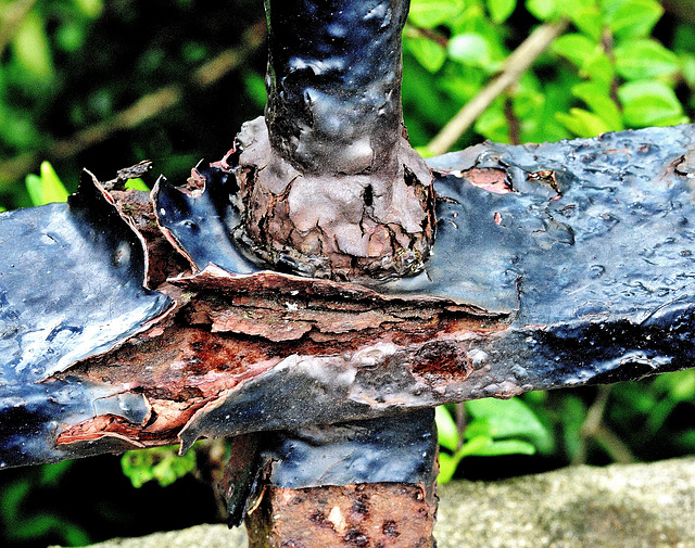 Rusty Railings