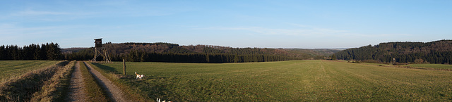 Blankenheim - Eifel DSC09988