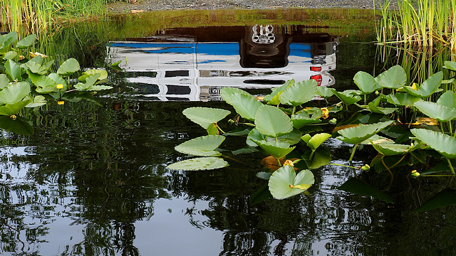 Hush Lake, Quesnel, BC