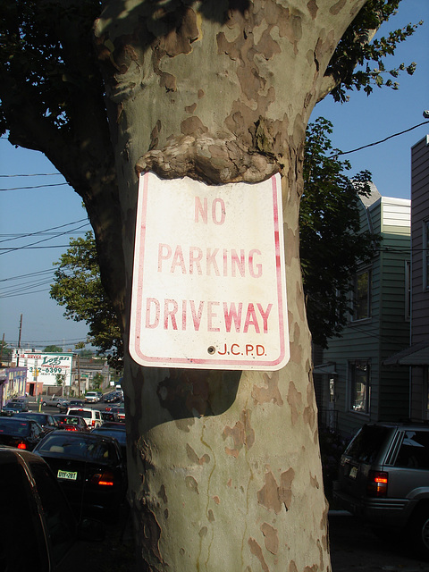 No parking driveway