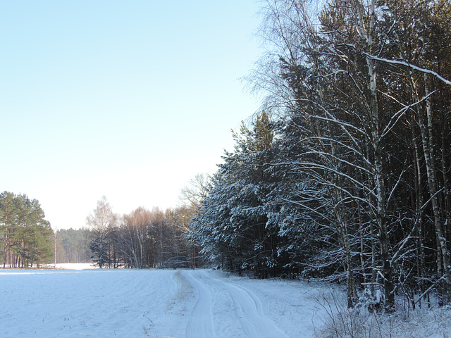 Wanderweg bei Kummersdorf Ort