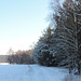 Wanderweg bei Kummersdorf Ort