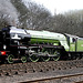 New Build Class A.1 4-6-2 No.60163 TORNADO at Barrow Hill Roundhouse 5th April 2009