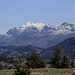 Specimen Ridge and Bison Peak