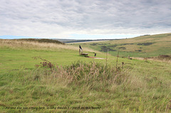 The bench faces the sea, but he prefers the inland view. Seaford Head - 21 9 2022