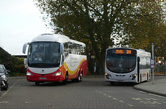 Euroview Coaching YN17 OLW and Coach Services Ltd BJ60 BYX in Mildenhall - 14 Nov 2024 (P1200266)