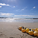 Winter am Strand von Peguera (© Buelipix)