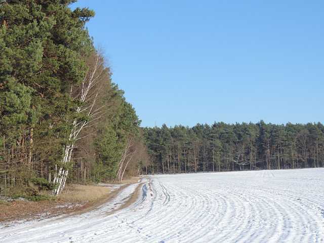 Wanderweg bei Kummersdorf Ort