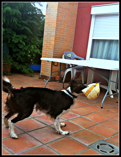 Bilma, 2