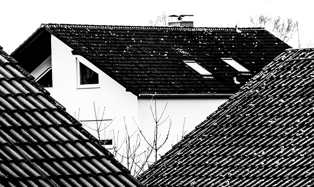 Roofscape