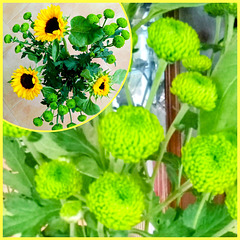 Green & yellow