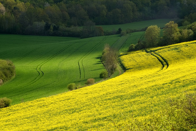 La vallée des cailles à Boncourt