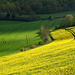 La vallée des cailles à Boncourt