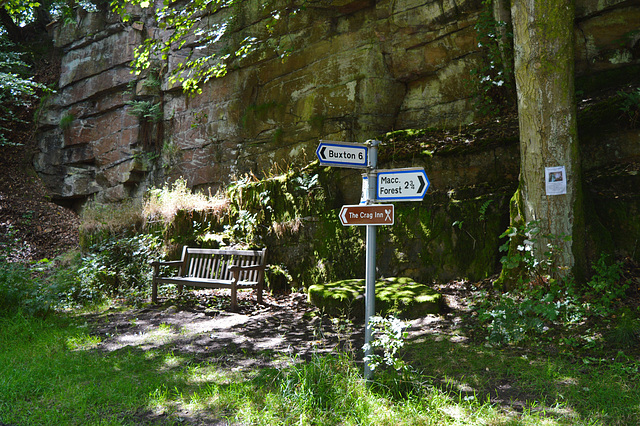 Shady bench