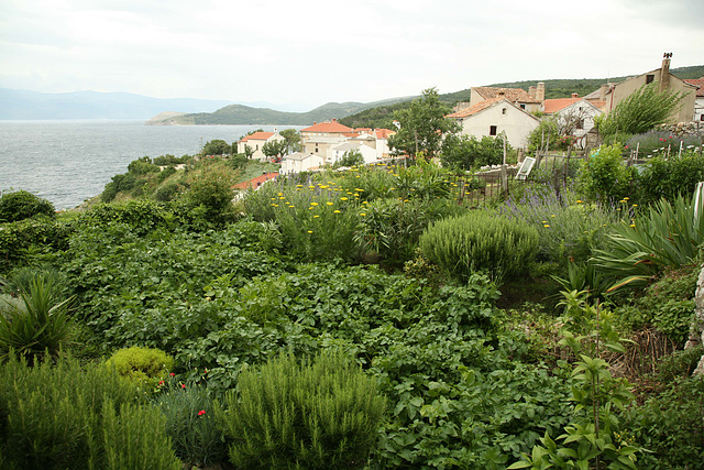 Vrbnik, Otok Krk - Croazia