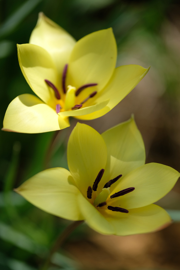 DSCF5071