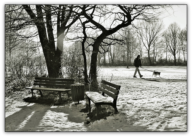 Winterspaziergang - Winter walk