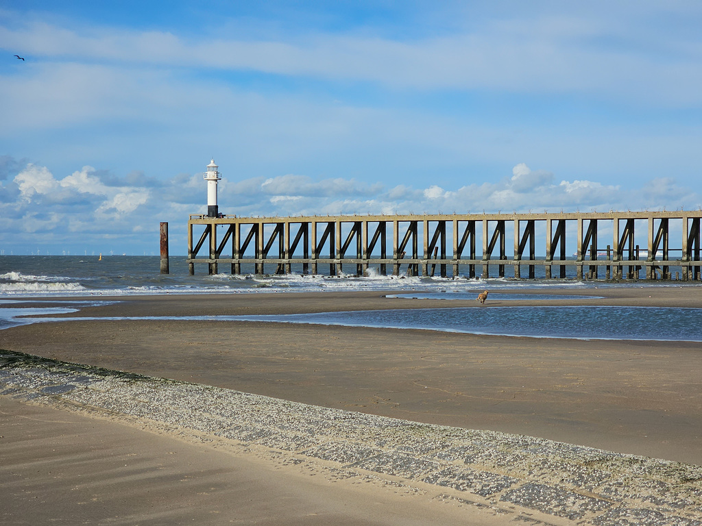Belgien - Harendijke / Blankenberge im Oktober 2023