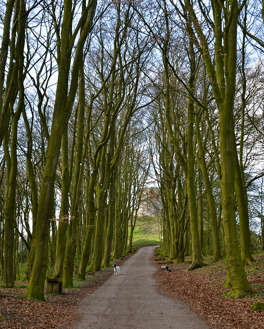 Stafford Castle