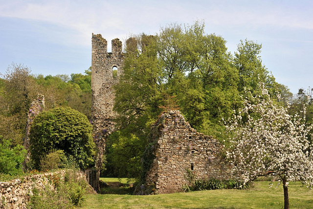 Ruines de l'abbaye de Nesle-la-Reposte - Marne