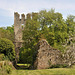 Ruines de l'abbaye de Nesle-la-Reposte - Marne