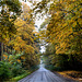 Autumn Road...