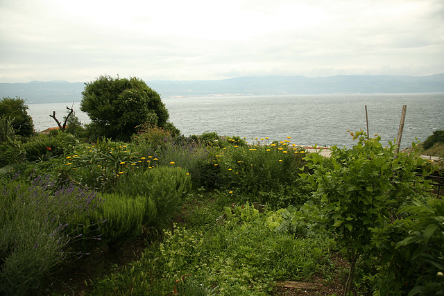 Vrbnik, Otok Krk - Croazia