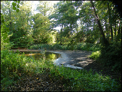 end of the lake
